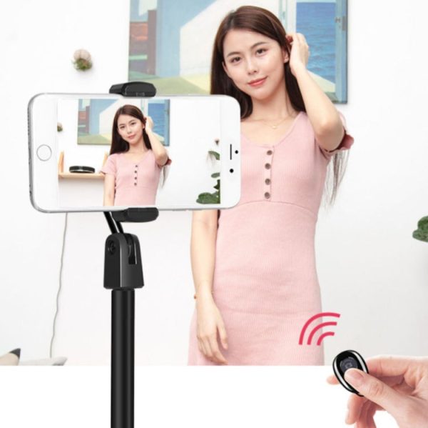 4 PCS Desktop Stand Mobile Phone Tablet Live Broadcast Stand Telescopic Disc Stand, Colour: White Online Hot Sale